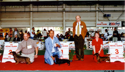 Eujch Mini Golf Golyo- Budapest CACIB 2005-Res.Best In Show 