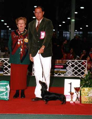 Eujch mini Golf Goly� - Budapest Cacib 2005-Best of Group- Judge: Petik Zsuzsanna (H)