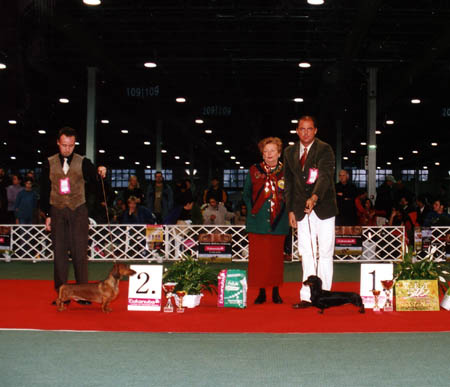 Eujch mini Golf Goly� - Budapest Cacib 2005-Best of Group- Judge: Petik Zsuzsanna (H)