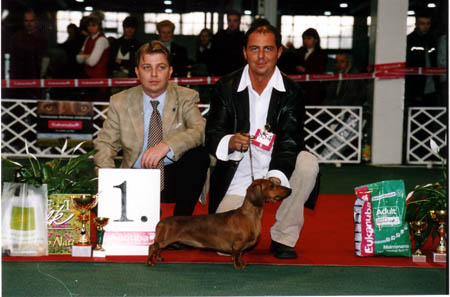 Ilex vom Golf   - Budapest Cacib,BOG-Judge: Christian Vantu (Ro)