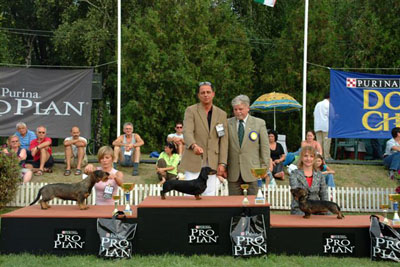 ecskem�t Cacib 2005 - Best  Of Group Judge: Nagy Istv�n (H)