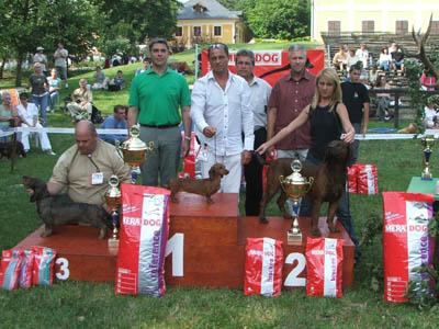 Grandgables Odds In Favour - Junior Best in Show  -Hunting Dogs Show,Nagyvázsony,-Judge: Dr.Jakkel Tamás