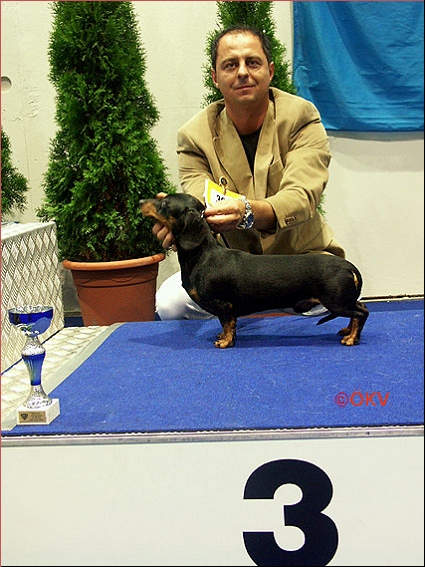 Eujch,Dbdsg Mini Golf Ipse , Österreich Jugend Bundessieger 2005 , Junior Best in Show 3. Bis Judge: Luis Pinto Teixera, (P )