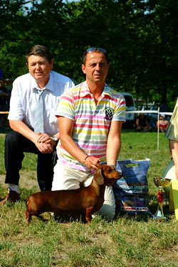 Eujch Cyberdachs Chiquitita You  And 