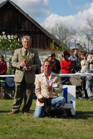 Cyberdachs Donna La Bonita - Nyiregyhaza CAC Show - BOG - Judge: Nagy Istv�n (H)