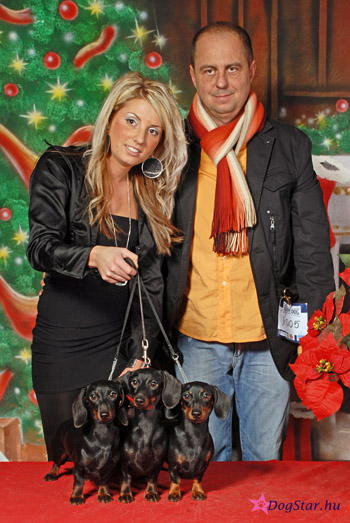 Cyberdachs mini Baby  Face-Barbie Girl-Amore Mio