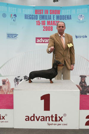 Cyberdachs Donna La Bonita