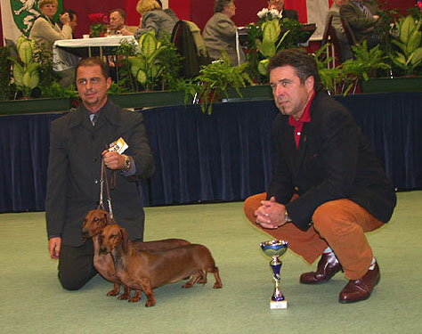 O-Men vom Golf - Okos vom Golf Österreich CACIB Show  Graz 2003  -  Paarklasse I. -  2003  
