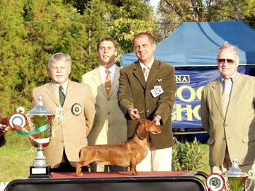 O-MEN vom Golf - Kecskemét CACIB SHOW  2003- Best of Group ,  Best in Show   judge: Hans Müller (CH) , Nagy  István (H)