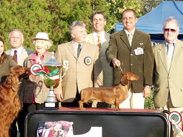 O-MEN vom Golf - Kecskemét CACIB SHOW  2003- Best of Group ,  Best in Show   judge: Hans Müller (CH) , Nagy  István (H)