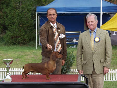 O-MEN vom Golf - Kecskemét CACIB SHOW  2003- Best of Group ,  Best in Show   judge: Hans Müller (CH) , Nagy  István (H)