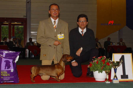 Cyberdachs Apache  Longbow - Budapest CACIB 2004 - BOB,BOG  Group  Judge :  Borsfai  Csaba (H)