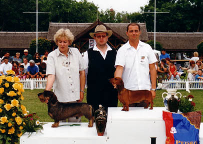 Dbdsg Okos vom Golf - Hodmezovasarhely  CAC SHOW 2002 - BOG Judg: Korózs Gábor (H)