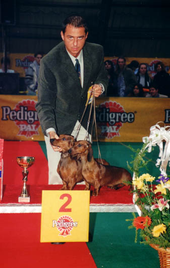 Eujch Special vom Golf & Eujch Bonjour vom Golf - Budapest Cacib Show 99  - Paar  II.
