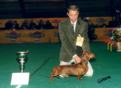 Eujch Special vom Golf - Dog of the Year 1999 III. 