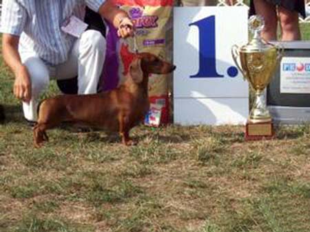 O-MEN vom Golf - Nyíregyháza CACIB SHOW  2003-  Best in Show  Judge: Korozs András (H)