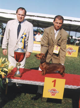 Eujch Bonjour vom Golf - Délkelet Európa Kiállítás 1999 - BOG , Res. Junior Best in Show