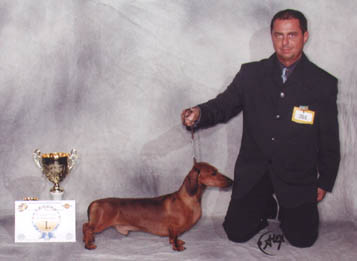 O-Men vom Golf - Champion Show  2002 -  Dog of the Year 2002 II. - Res. Best in Show 