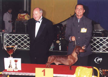 O-Men vom Golf - Champion Show  2002 -  Dog of the Year 2002 II. - Res. Best in Show 