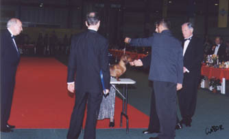 O-Men vom Golf - Champion Show  2002 -  Dog of the Year 2002 II. - Res. Best in Show 