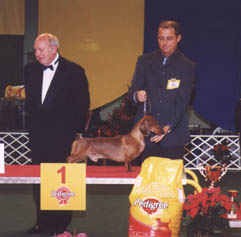 O-Men vom Golf - Champion Show  2002 -  Dog of the Year 2002 II. - Res. Best in Show 