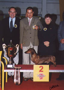 O-Men vom Golf - Budapest CACIB Show 2002  - res. Best in Show  judge: Kenneth Edh (S)