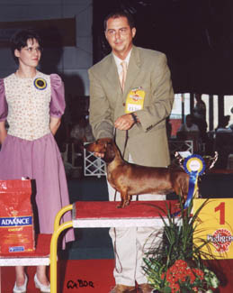 Dbdsg Okos vom Golf - Hungarian Grand Prix  CACIB Show  2002 - BOG  judg: Várszegi Zsófia (H)