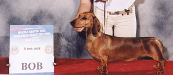 Dbdsg Okos vom Golf - Hungarian Grand Prix  CACIB Show  2002 - BOG  