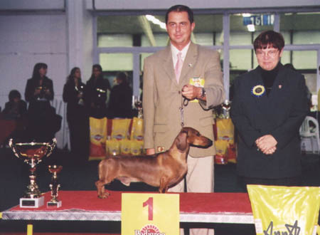 O-Men vom Golf - Budapest CACIB Show 2002  - res. Best in Show  judge: BOG:  Dr. Balogh Zsuzsanna (H) & BIS: Kenneth Edh (S)