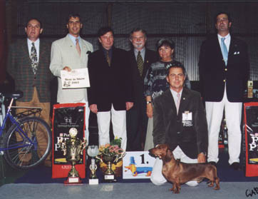 O-Men vom Golf - 100 Year old Hungarian Dachshundclub Jubileum Clubshow 2002 - Best in Show  judge: Dr. Jakkel Tamás (H) -  Dr. Horst Kettendörfer (D)