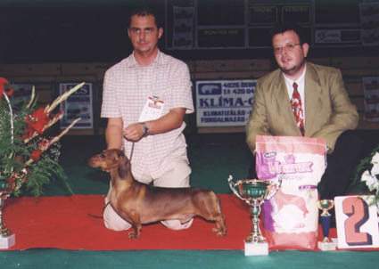 O-Men vom Golf - Debrecen CACIB Show 2002  - Best of Group -  judge: Korózs Gábor (H)