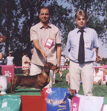 O-Men vom Golf - Szekesfehervar CAC Show 2002  - BOG, Best in Show III.