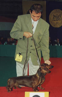 Eujch Special vom Golf & Eujch Bonjour vom Golf - Champion Show 99  - Paar  II.