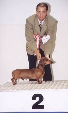 Eujch Special vom Golf - &Ouml;sterreich Bundessieger Show 2001 - BOB, BOG2