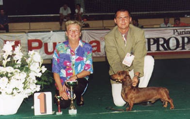Eujch Special vom Golf - Debrecen CACIB Show 2001 - BOG   judg:  Petik Zsuzsanna (H)