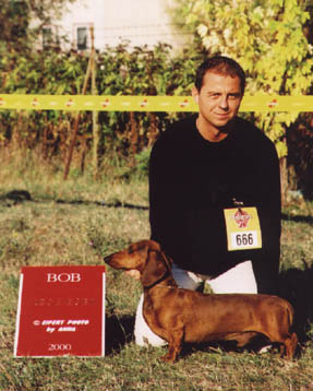 Eujch Special vom Golf - Eger CAC Show 2001 - BOG , BIS 3 