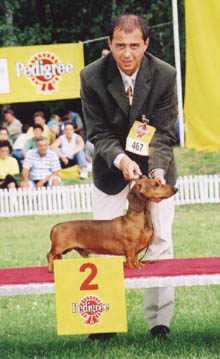 Eujch Special vom Golf - Varazdin CACIB 1999 - BOG, Res.Bis 